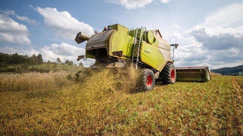 Durch eine Eisenstange im Feld ist bei Weng ein M&auml;hdrescher bei der Ernte besch&auml;digt worden. (Symbolbild)