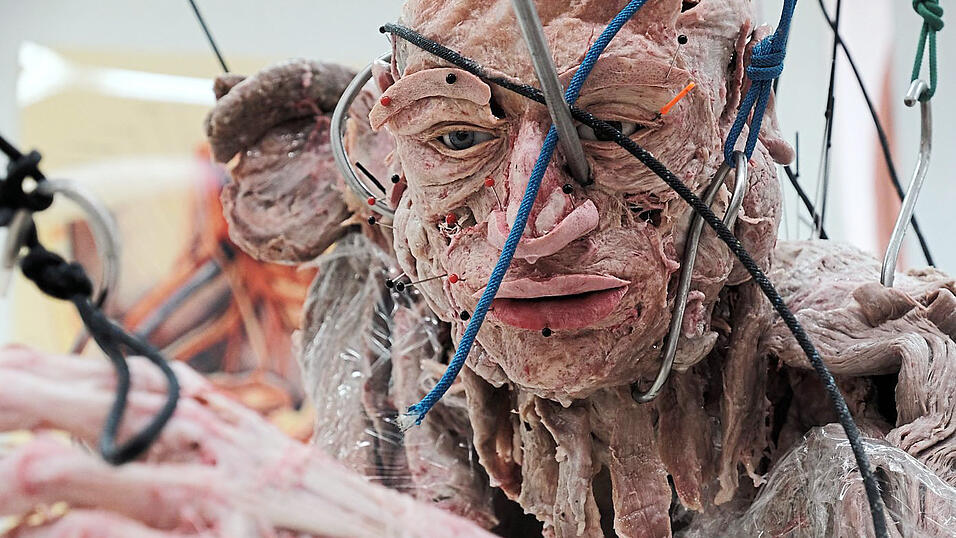 Im Plastinarium in Guben (Brandenburg) sind tiefe Einblicke möglich. In den menschlichen Körper und in die Arbeit von Gunther von Hagens.
