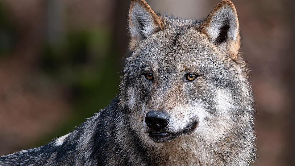 Platz 1: Uwe Hessels