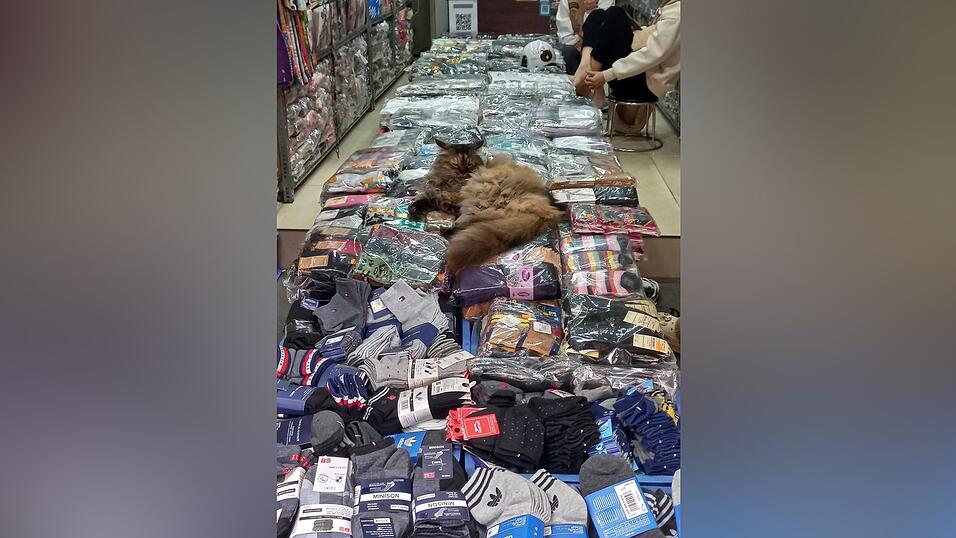 Katis Eindrücke aus Vietnam.