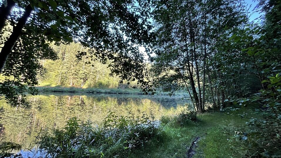 Ein Pfad f&uuml;hrt von Gstadt zur Forststra&szlig;e nach Gumpenried.