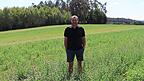 Landwirt Michael Beer in seinem Luzernefeld. Was auf den ersten Blick üppig aussieht, täuscht. Eigentlich sollten hier auch Gras und Klee wachsen, doch es ist zu trocken. Landwirt Michael Beer in seinem Luzernefeld. Was auf den ersten Blick üppig aussieht, täuscht. Eigentlich sollten hier auch Gras und Klee wachsen, doch es ist zu trocken.