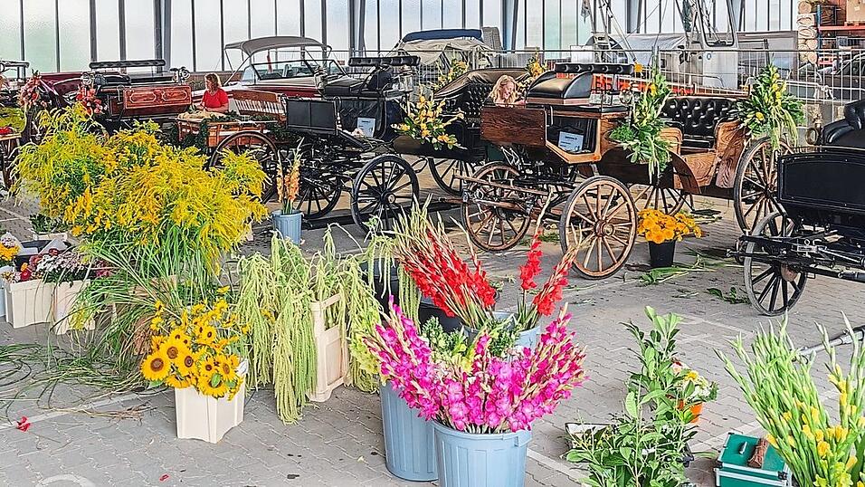 Seit sieben Uhr morgens arbeiteten Mitarbeiter der Stadtgärtnerei am Blumenschmuck der Kutschen und Wagen für den Volksfestauszug. Seit sieben Uhr morgens arbeiteten Mitarbeiter der Stadtgärtnerei am Blumenschmuck der Kutschen und Wagen für den Volksfestauszug.