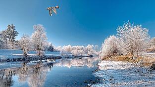 Moore wieder vern&auml;ssen, Fl&uuml;ssen mehr Raum geben und W&auml;lder aufforsten - das ist das Ziel der EU-Wiederherstellungsverordnung. Bayerns Natursch&uuml;tzer sehen sie unter &bdquo;starkem Druck&ldquo;.