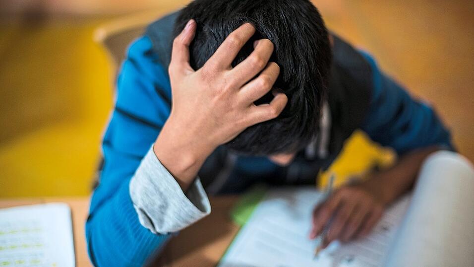 Vor allem bei den Schulbegleitern gibt es h&ouml;here Bedarfe, vor allem die Zahl der seelischen Behinderungen bei Kindern und Jugendlichen nimmt zu.