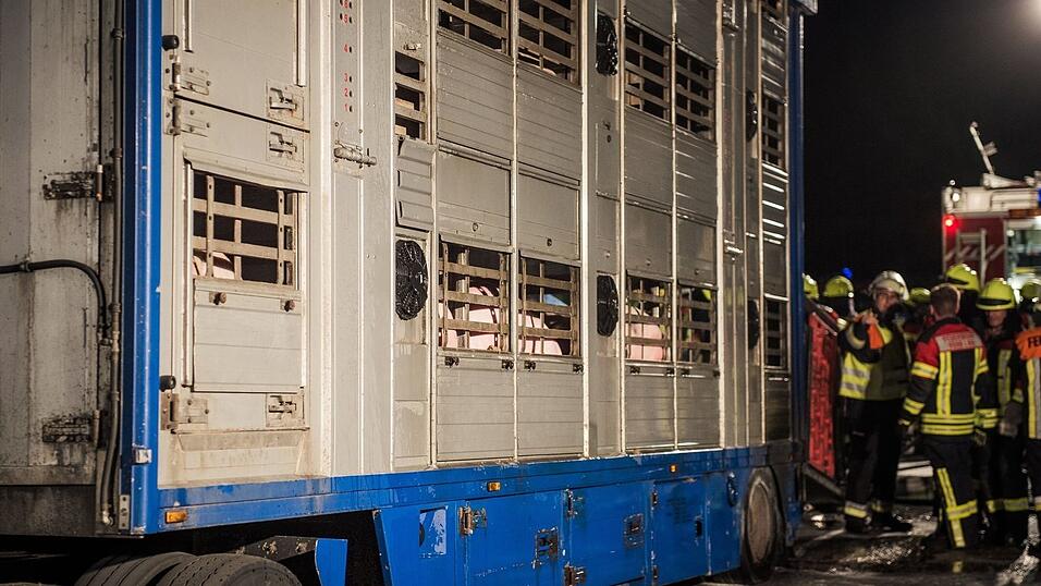 Kniffliger Einsatz f&uuml;r die Feuerwehren aus Rohr/Ndb. und Obereulenbach am sp&auml;ten Donnerstagabend. Ein Schweinetransporter hatte auf dem Weg zum Schlachthof Feuer gefangen. Neun der Tiere kamen durch den Stress und den giftigen Rauch ums Leben.