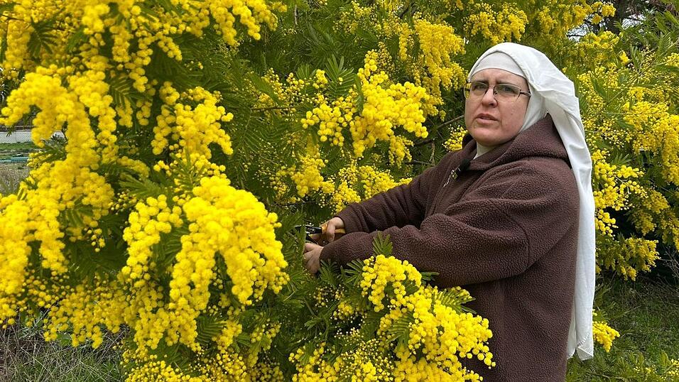 Schwester Paloma beklagt eine 'Verfolgung' und bittet um Hilfe. (Handoutbild)