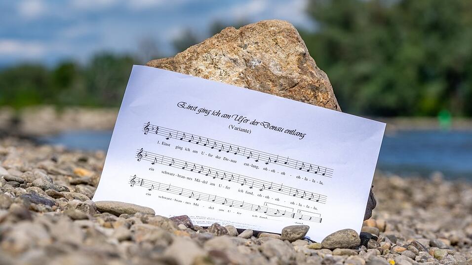 In den drei Monaten seit Beginn der Donaulied-Petition haben die Initiatoren aus Passau rund 36 000 Stimmen von Unterst&uuml;tzern gesammelt.