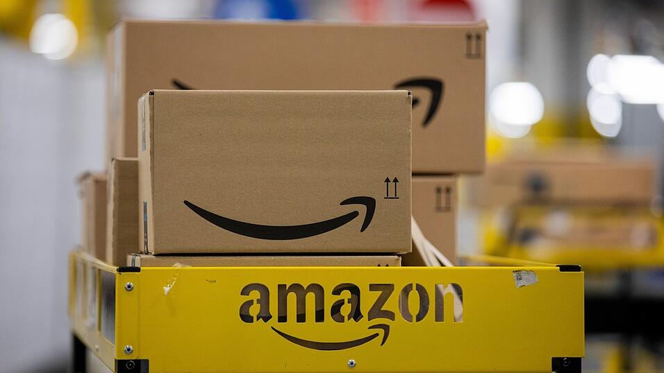 Nicht jedem gefallen die Pläne von Amazon in Rohr - auch der Bund Naturschutz im Landkreis Kelheim hat Bedenken. Nicht jedem gefallen die Pläne von Amazon in Rohr - auch der Bund Naturschutz im Landkreis Kelheim hat Bedenken.