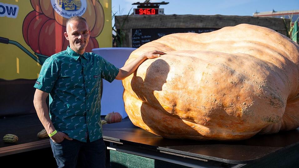 Der schwerste Kürbis bei der Kürbiswiegemeisterschaft in Klaistow von Oliver Grafe ist rund 942 Kilogramm schwer. Der schwerste Kürbis bei der Kürbiswiegemeisterschaft in Klaistow von Oliver Grafe ist rund 942 Kilogramm schwer.