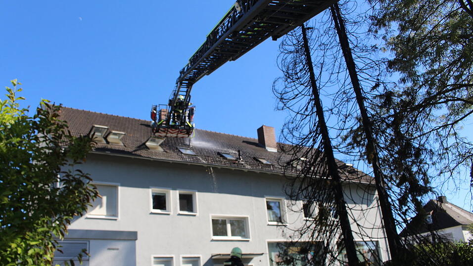 Drei Fichten brannten bei Trockenheit schnell ab. Drei Fichten brannten bei Trockenheit schnell ab.