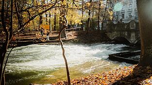 Die Welle ist weiterhin weg: Nun hat die Stadt einen dreistufigen Plan entworfen. Warum die Welle fehlt, weiß immer noch keiner. Die Welle ist weiterhin weg: Nun hat die Stadt einen dreistufigen Plan entworfen. Warum die Welle fehlt, weiß immer noch keiner.