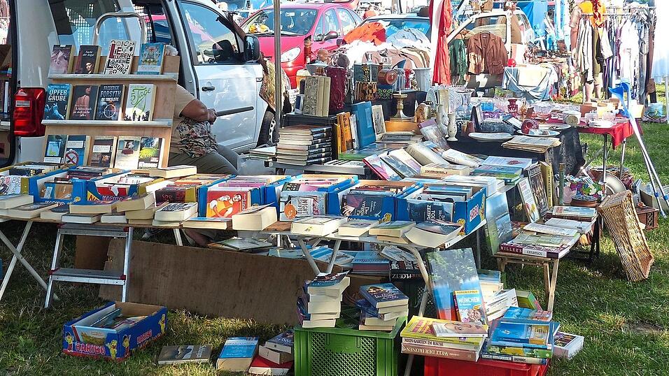 In alten B&uuml;chern schm&ouml;kern konnten die Besucher auf dem Jahresflohmarkt des F&ouml;rder- und Werbevereins.
