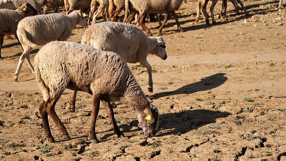 Die Serie schwerer Winterst&uuml;rme mit Starkregen trifft eine Region, die sonst unter Wassermangel leidet.