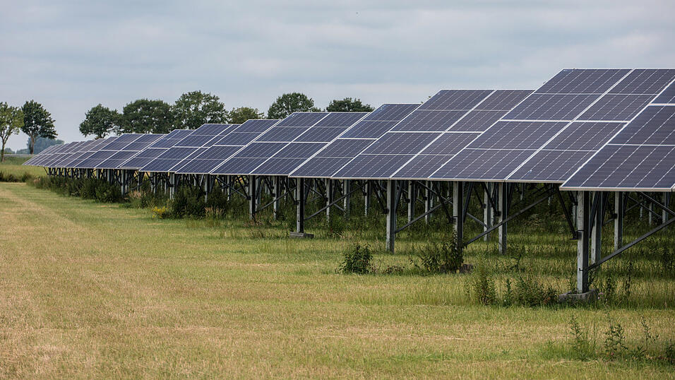 Die Solarmodule von Agrar-Photovoltaikanlagen sind erh&ouml;ht, sodass unter ihnen Pflanzen wachsen oder Tiere grasen k&ouml;nnen. Die Ampel-Regierung wollte ihren Bau f&ouml;rdern - doch die EU &auml;u&szlig;erte Bedenken.