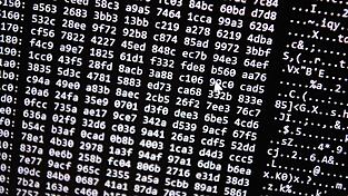 Bayerns Zentralstelle Cybercrime gibt es seit 2015. Die Spezialisten haben aktuell viel zu tun. (Symbolbild) Bayerns Zentralstelle Cybercrime gibt es seit 2015. Die Spezialisten haben aktuell viel zu tun. (Symbolbild)