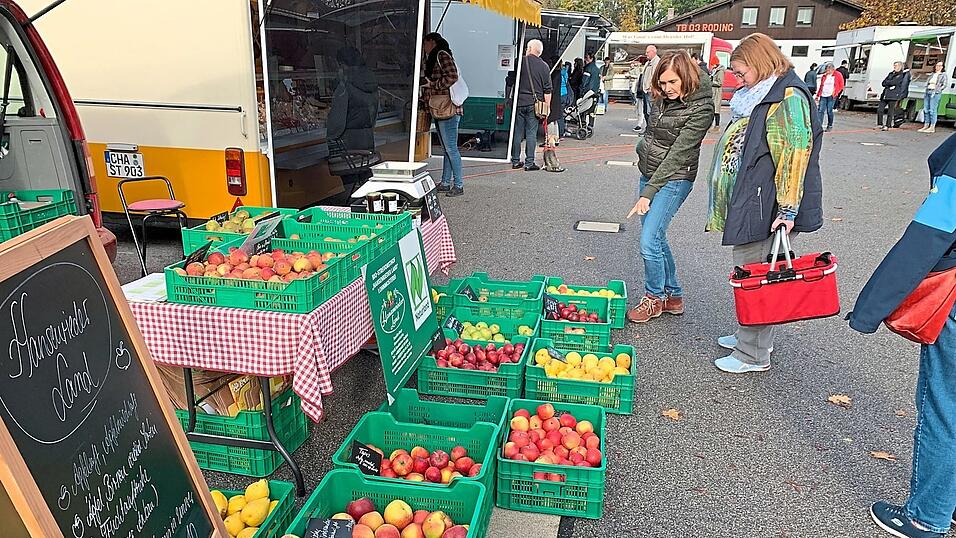 Sortenvielfalt: Im Obstbaubetrieb Hansenrieder Land trägt jeder Baum eine andere Sorte. Eva Spießl-Mayr erklärt, was es mit Namen, Geschmack und Lagerfähigkeit auf sich hat. Sortenvielfalt: Im Obstbaubetrieb Hansenrieder Land trägt jeder Baum eine andere Sorte. Eva Spießl-Mayr erklärt, was es mit Namen, Geschmack und Lagerfähigkeit auf sich hat.