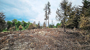 So sieht es aktuell aus: 4.000 Quadratmeter Wald haben am Samstagnachmittag gebrannt.