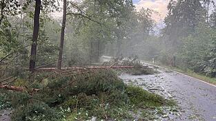 Die Feuerwehr musste in der Region rund um Nürnberg mehr als 1.000 Mal ausrücken. Die Feuerwehr musste in der Region rund um Nürnberg mehr als 1.000 Mal ausrücken.