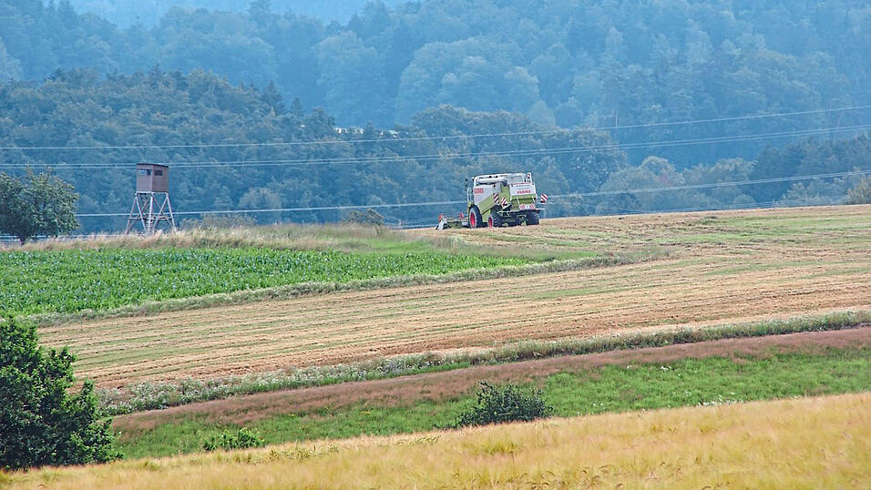 Diese Fl&auml;chen bei Hungersacker sind ins Visier der Firma Tennet geraten: Entsteht dort ab 2029 ein Umspannwerk?