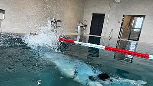 Die Wassertemperatur liegt bei circa 28 Grad: perfekt f&uuml;r sowohl Sportschwimmer als auch Familien.