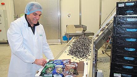 Die Pilze werden abgepackt und für den Versand vorbereitet. Hier sind es eine Pilzmischung, Shiitake und Black Fungus. Die Pilze werden abgepackt und für den Versand vorbereitet. Hier sind es eine Pilzmischung, Shiitake und Black Fungus.