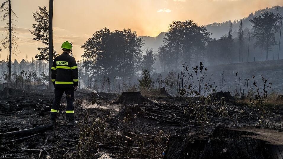 2022 wütete ein heftiger Waldbrand im Grenzland zwischen Sachsen und Tschechien. (Archivbild)
