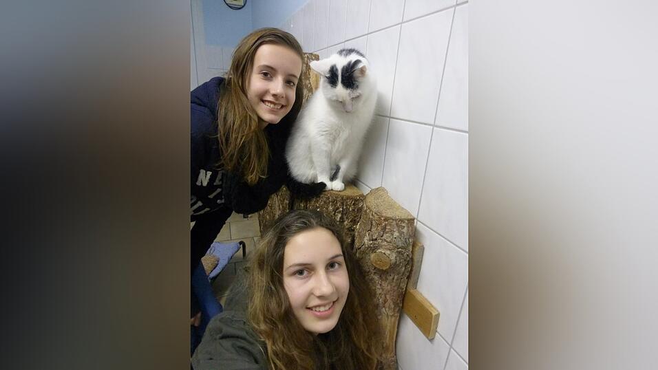 Auch im Tierheim waren die Nachwuchsreporter unterwegs.