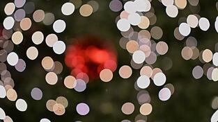 F&uuml;r eine Geschichte wie aus einem Weihnachtsfilm sorgte ein Weihnachtsbaum-Dieb im Unterallg&auml;u. (Symbolbild)