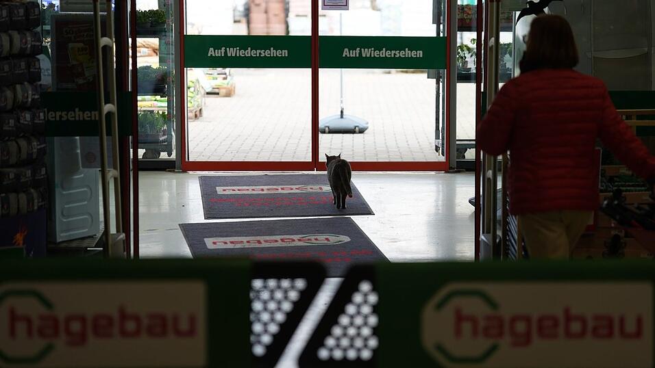 Zum Schlafen verl&auml;sst Lotti den Markt.