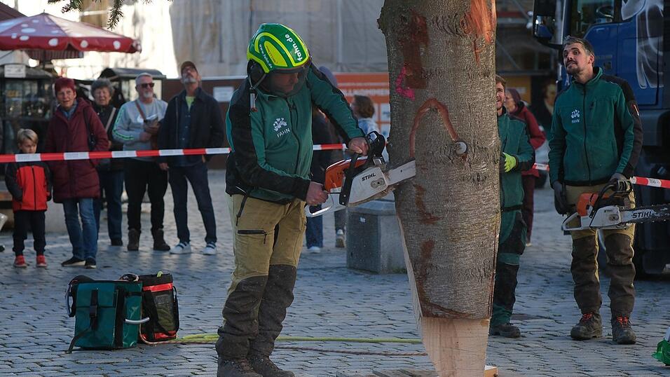 Straubing hat wieder den ersten Christbaum Bayerns! Straubing hat wieder den ersten Christbaum Bayerns!