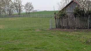 Innerhalb des Metallzauns soll k&uuml;nftig Damwild gehalten werden. Daf&uuml;r musste ein Teil der Hecke am rechten Bildrand weichen.