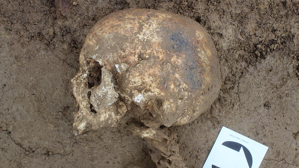 Der Reiterfürst von Bayerbach hatte eine starke Fehlhaltung. Der Reiterfürst von Bayerbach hatte eine starke Fehlhaltung.