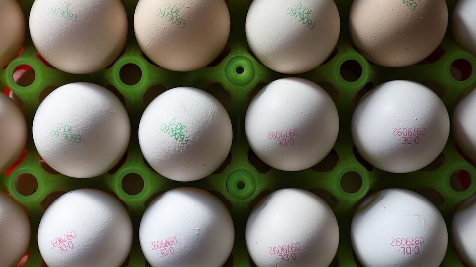 Das heimische Futter reicht nicht, um die Nachfrage nach Bio-Eiern zu bedienen. Deshalb sind die Bauern auf Importe angewiesen. (Symbolbild)