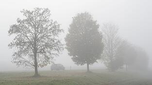 Vor allem in Bayern bleibt auch der Adventssonntag vielerorts sehr trübe, Hoffnung macht der Start in die neue Woche. (Archivfoto) Vor allem in Bayern bleibt auch der Adventssonntag vielerorts sehr trübe, Hoffnung macht der Start in die neue Woche. (Archivfoto)