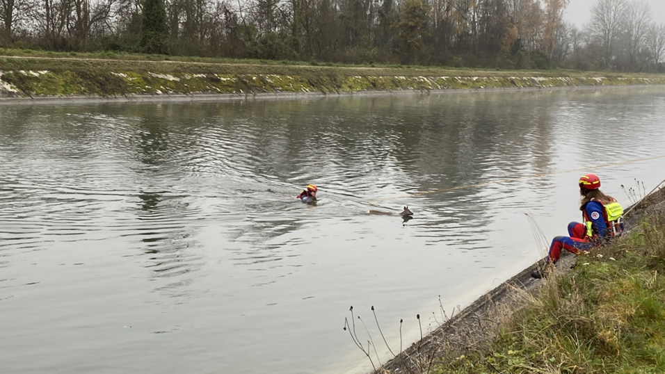 Nach der Rettung verharrt das Reh im Böschungsbereich und wird zum Wasser hin durch die beiden Wasserretter abgesichert. Nach der Rettung verharrt das Reh im Böschungsbereich und wird zum Wasser hin durch die beiden Wasserretter abgesichert.