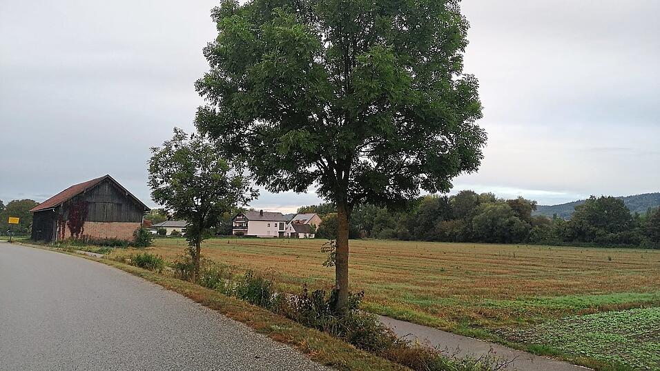 Am östlichen Ortsrand von Sarching entsteht eine neues Baugebiet. Am östlichen Ortsrand von Sarching entsteht eine neues Baugebiet.