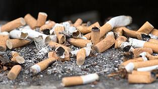 Billionen von Zigarettenkippen landen jedes Jahr in der Umwelt. (Symbolbild) Billionen von Zigarettenkippen landen jedes Jahr in der Umwelt. (Symbolbild)