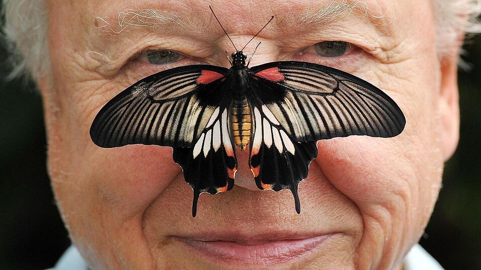 Zu seinem 100. Geburtstag erhielt David Attenborough einen pers&ouml;nlichen Brief von K&ouml;nig Charles. (Archivfoto)