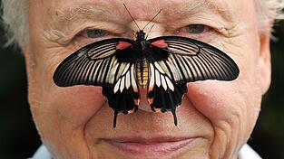 Zu seinem 100. Geburtstag erhielt David Attenborough einen pers&ouml;nlichen Brief von K&ouml;nig Charles. (Archivfoto)