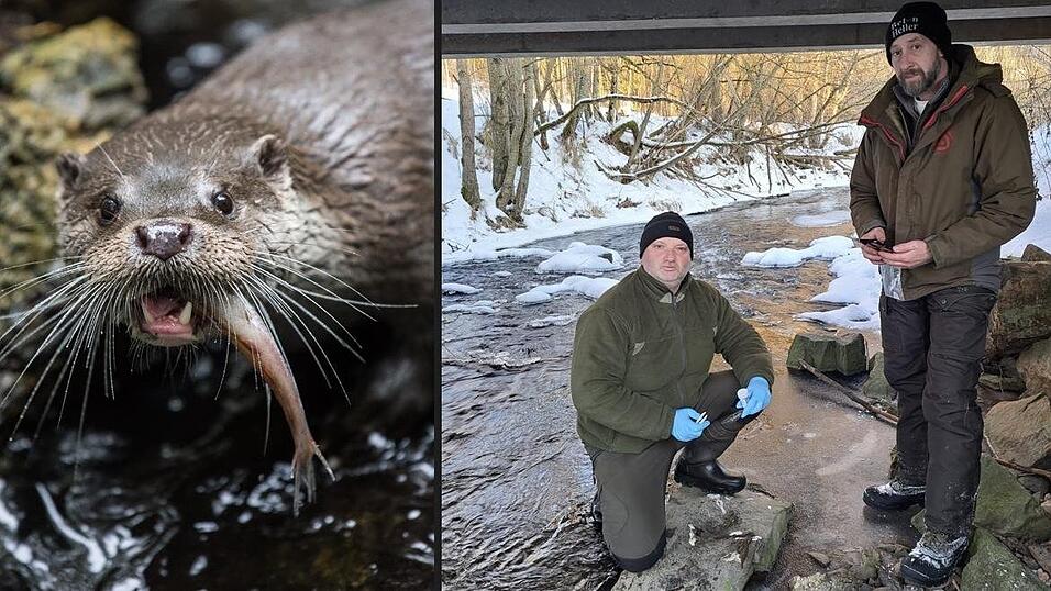 Der Fischotter dezimiert die Fischbest&auml;nde. BFV-Vorsitzender Stefan Plendl (knieend) sagt: &bdquo;Der Fischerei entsteht ein enormer Schaden.&ldquo;
