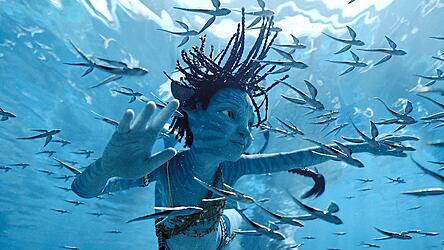 Ein Leben im Einklang der Natur - das ist die Vision von 'Avatar The Way of Water'.