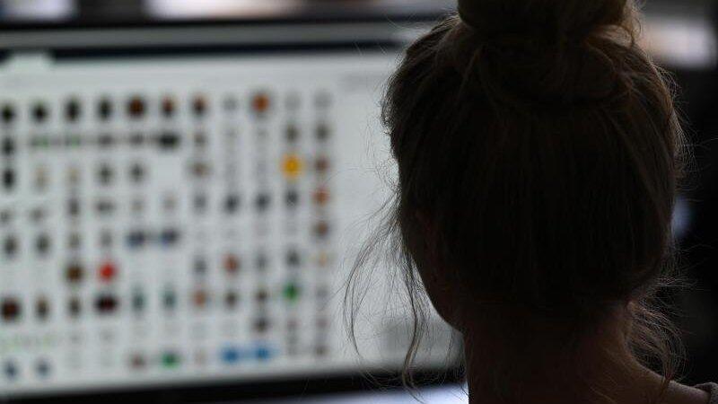 Eine Kriminaloberkommissarin vor einem Auswertungscomputer auf der Suche nach Kinderpornografie. Eine Kriminaloberkommissarin vor einem Auswertungscomputer auf der Suche nach Kinderpornografie.
