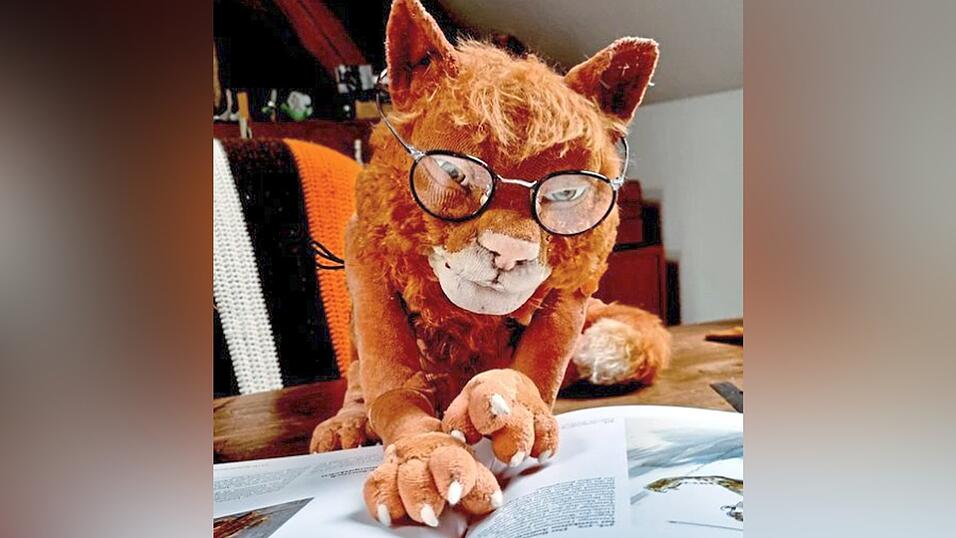 &bdquo;Matou! Die Katze, die kein Mensch sein will&ldquo; hei&szlig;t das St&uuml;ck des Menzel-Sch&auml;fer-Thieme-Teams aus Berlin. Die Katze ziert auch das Titelblatt des Figurentheater-Flyers.