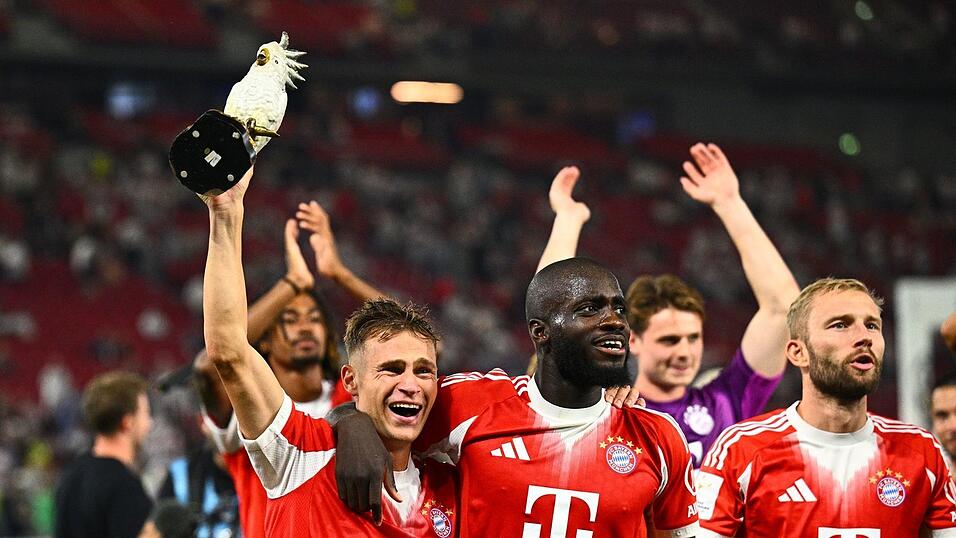 Der neue Glücksbringer durfte auch in Stuttgart nicht fehlen: Die Bayern und ihr Kakadu. Der neue Glücksbringer durfte auch in Stuttgart nicht fehlen: Die Bayern und ihr Kakadu.