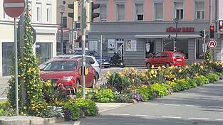Die Verkehrsinseln bekommen mehrmals jährlich ein neues Outfit, wie hier am Beginn der Graflinger- und Amanstraße.
