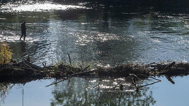 In der Isar setzte das Bayerische Landesamt f&uuml;r Umwelt rund 40.000 Fische aus. (Symbolbild)