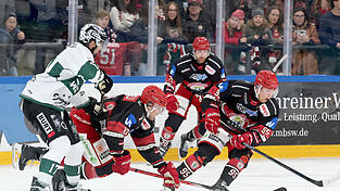 Ausgerutscht und Chancen verschenkt: Julian Kornelli (zweiter von links), Yannick Wenzel und Tobias Schwarz konnten die 3:4-Niederlage des EV Landshut gegen die Bietigheim Steelers nicht verhindern. Am Wochenende gab es mit einem Zähler eine magere Ausbeute. Ausgerutscht und Chancen verschenkt: Julian Kornelli (zweiter von links), Yannick Wenzel und Tobias Schwarz konnten die 3:4-Niederlage des EV Landshut gegen die Bietigheim Steelers nicht verhindern. Am Wochenende gab es mit einem Zähler eine magere Ausbeute.