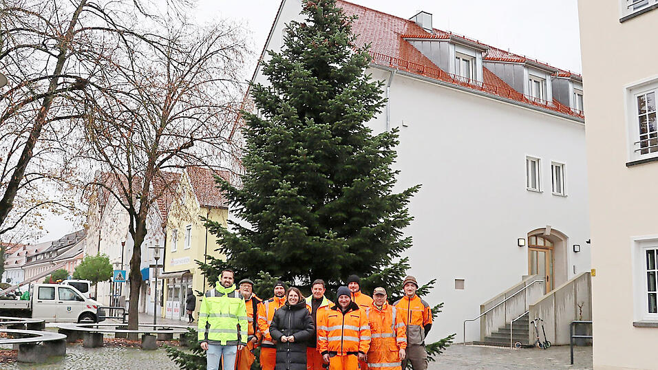 Bürgermeisterin Andrea Probst (4. v. l.), Bauhof-Leiter Sebastian Peintinger (l.) und sein Bauhof-Team freuen sich sichtlich über die Nordmanntanne am Stadtplatz. Bürgermeisterin Andrea Probst (4. v. l.), Bauhof-Leiter Sebastian Peintinger (l.) und sein Bauhof-Team freuen sich sichtlich über die Nordmanntanne am Stadtplatz.