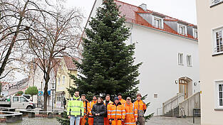 Bürgermeisterin Andrea Probst (4. v. l.), Bauhof-Leiter Sebastian Peintinger (l.) und sein Bauhof-Team freuen sich sichtlich über die Nordmanntanne am Stadtplatz.